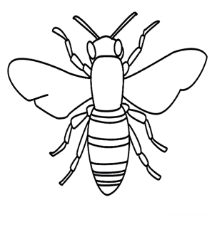 3 Unique Methods for How to Draw a Honey bee Bit by bit