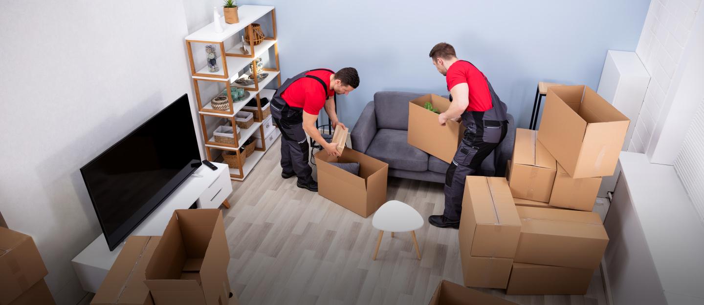 What is the cost for Moving furniture in Melbourne?