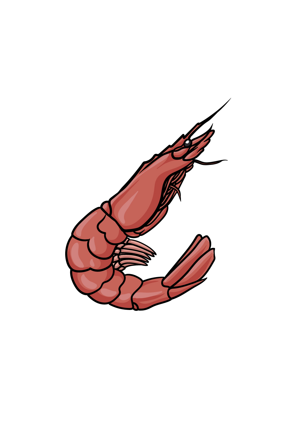 How to Draw Shrimp Drawing