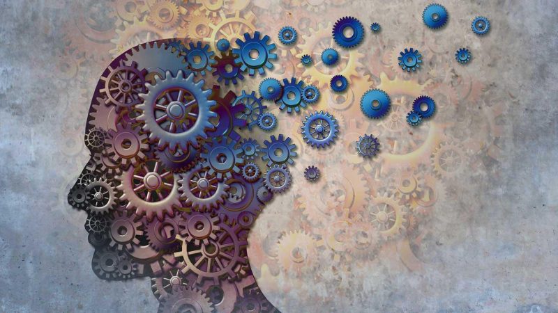 An Introduction to Cognitive Science