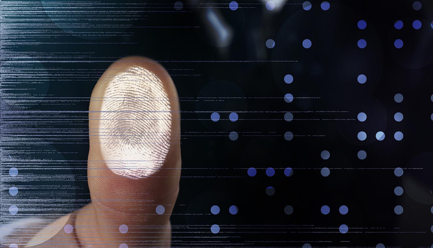 How Important is the Fingerprint in Identification and Detection?