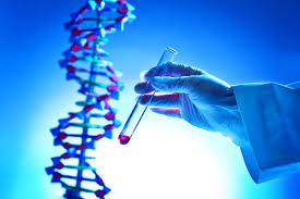 Genetic Testing services