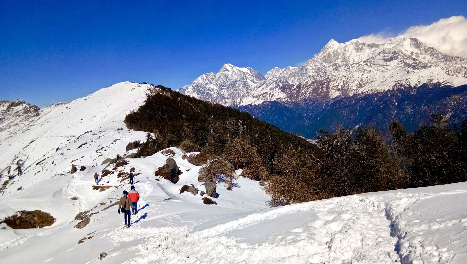 Kuari pass Trek: Here is all you need to know about this trek