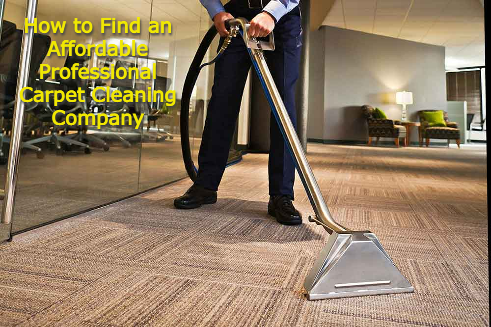 How to Find an Affordable Professional Carpet Cleaning Company