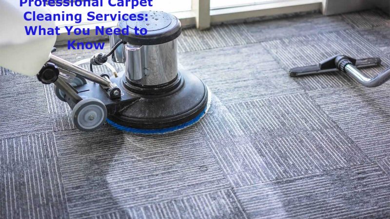 A Guide to DIY Carpet Cleaning with Professional Services
