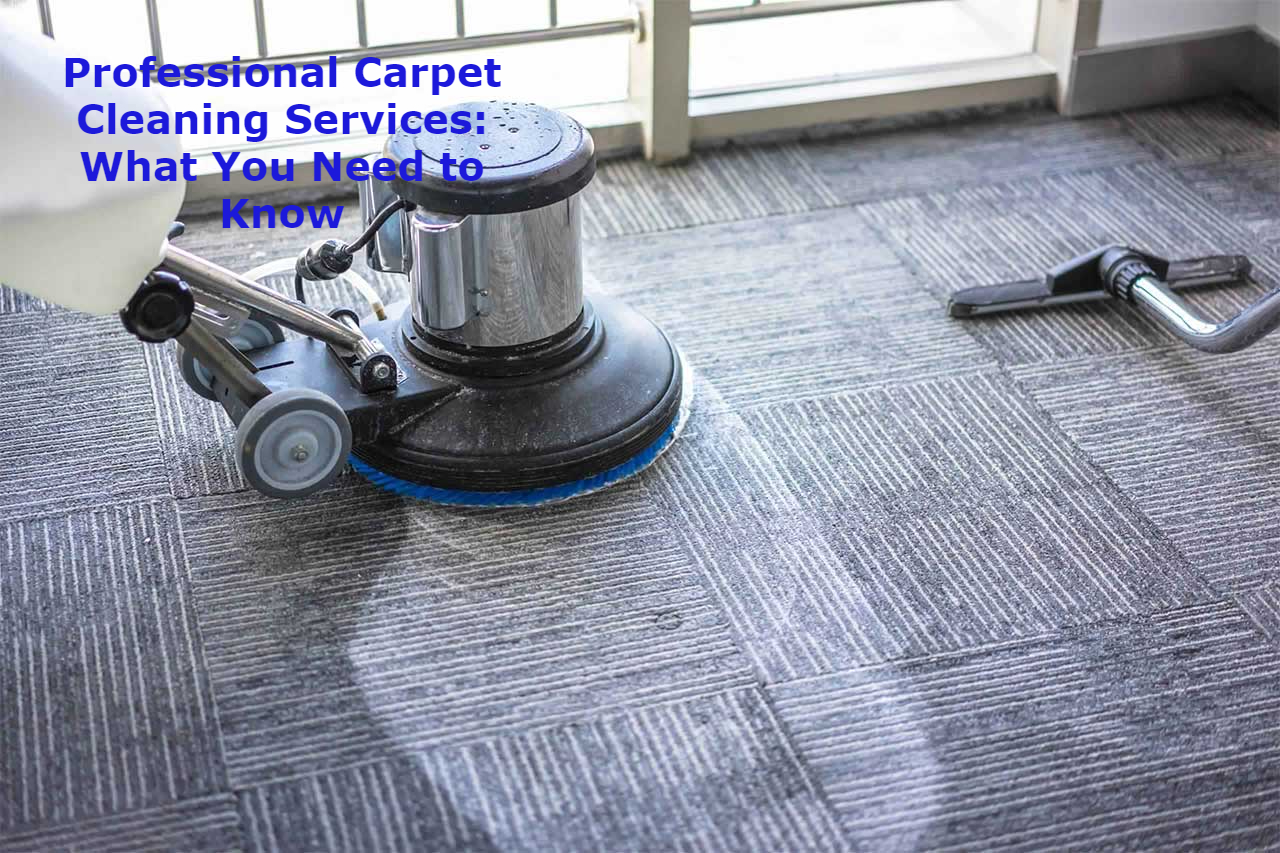 A Guide to DIY Carpet Cleaning with Professional Services