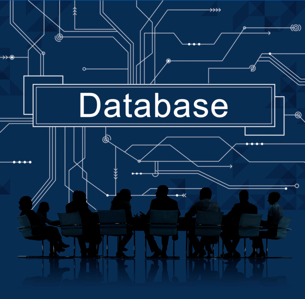 5 Benefits of Partnering with Database Service Provider