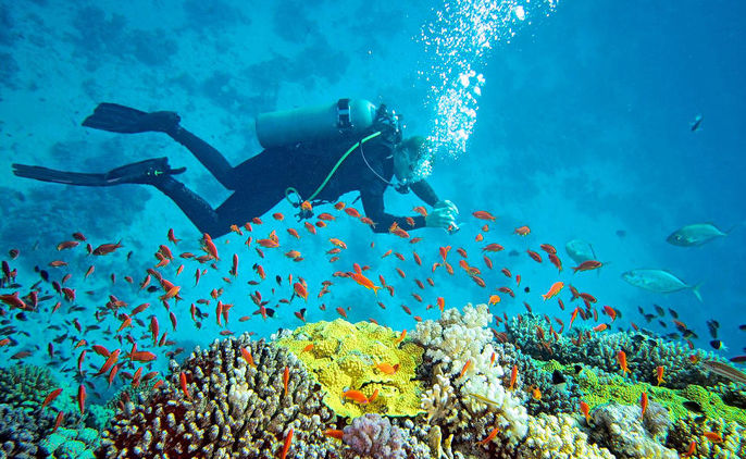 The places that have scuba diving in Andaman