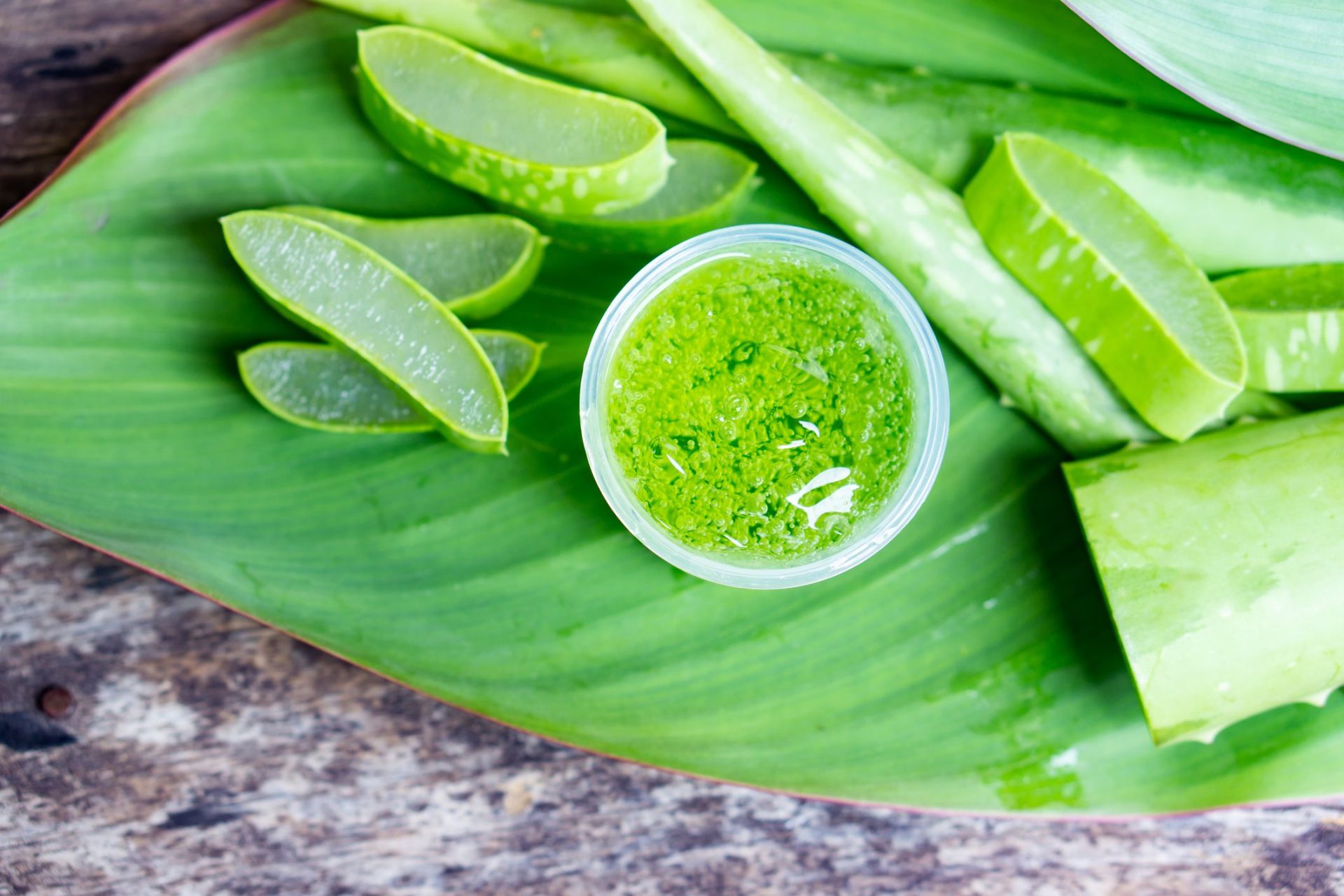 Aloe vera will be useful to the extent that health benefits