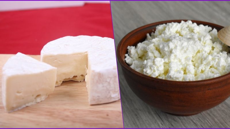 DIFFERENCE BETWEEN CHEESE AND PANEER